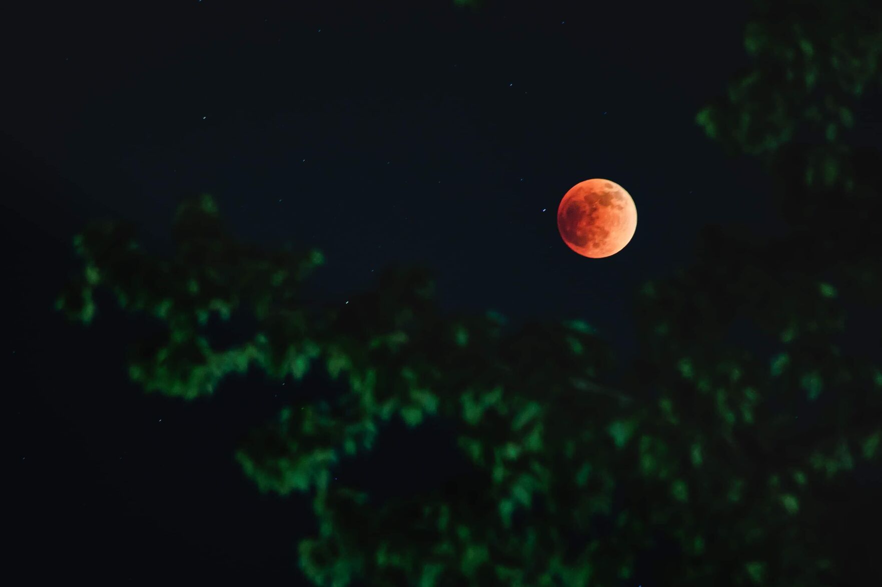 Adam Smith photo sub, blood moon